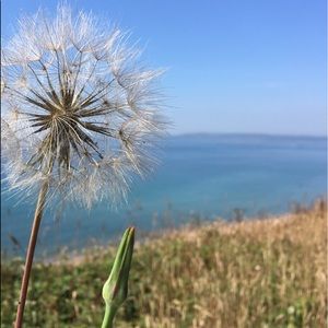 Meet your Posher, Larisa